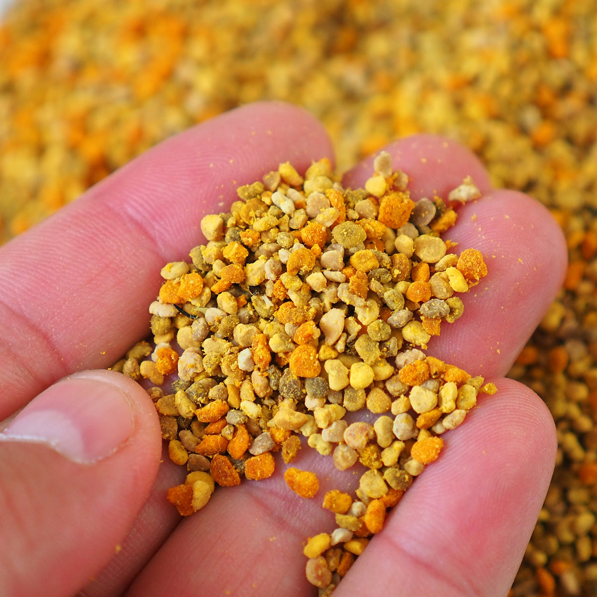 Mannavita suszony pyłek pszczeli wielokwiatowy • 500 g