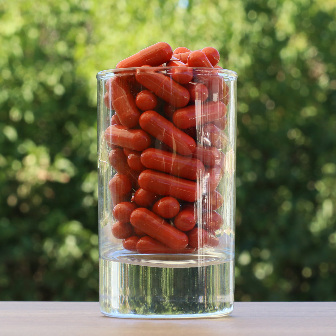 FEMNOX, Mleczko pszczele + Inozytol + Kwas foliowy + Witaminy B12 • 90 kapsułek