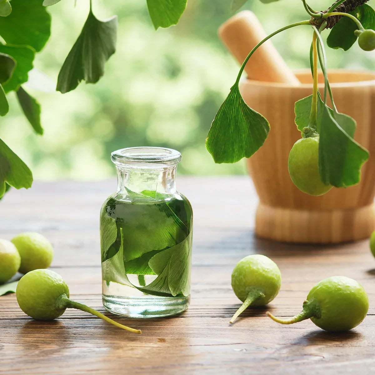 GINK-Q10 • Q10 Coenzyme + Ginkgo Biloba complex • 60 capsules - Mannavita