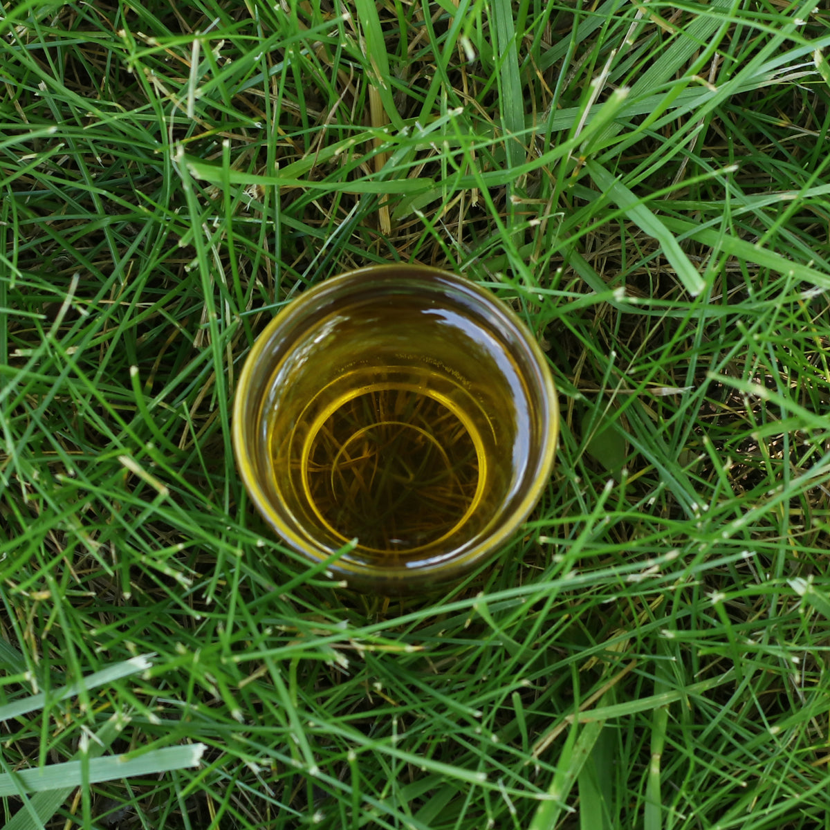 Mannavita węgierski olej z pestek winogron tłoczony na zimno • 250 ml