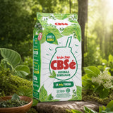 CBSé herbata yerba mate • Owoce leśne • 500 g