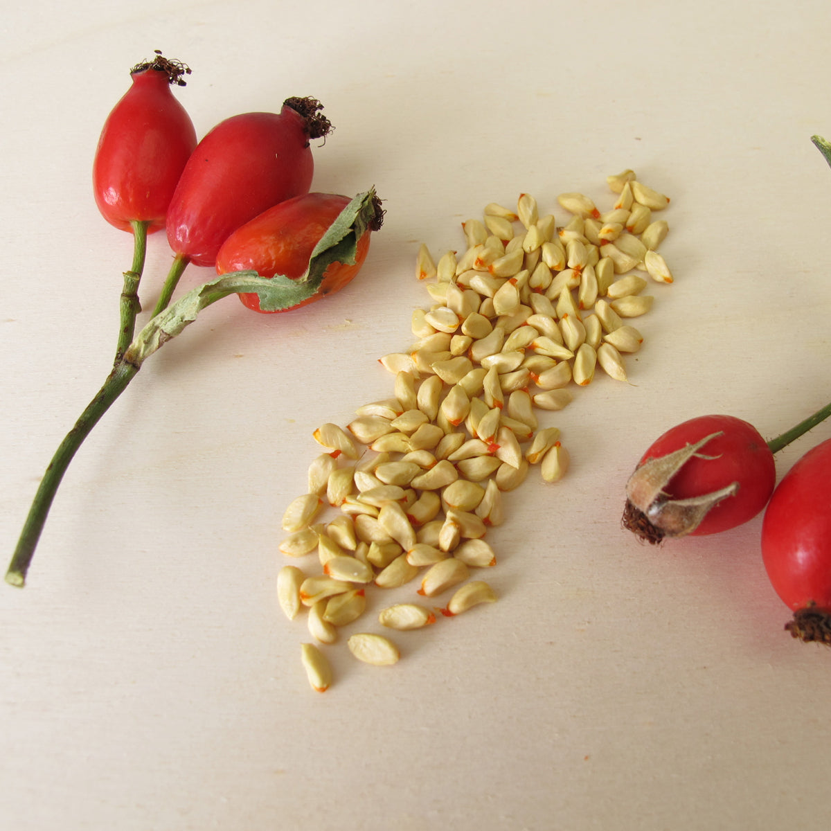 Mannavita węgierski olej z nasion dzikiej róży tłoczony na zimno • 40 ml