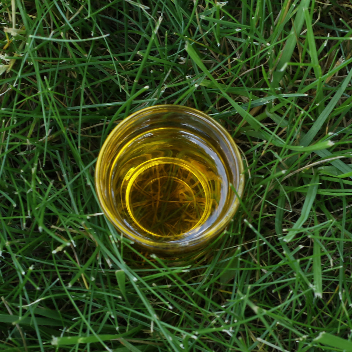 Mannavita Węgierski olej lniany tłoczony na zimno • 250 ml