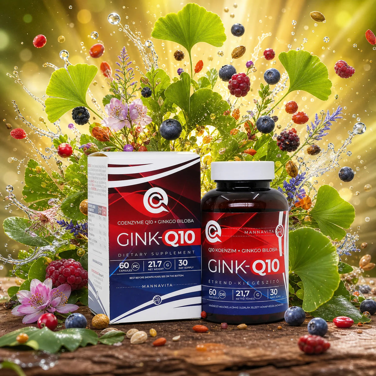 GINK-Q10 • Kompleks Koenzymu Q10 + Ginkgo Biloba • 60 kapsułek