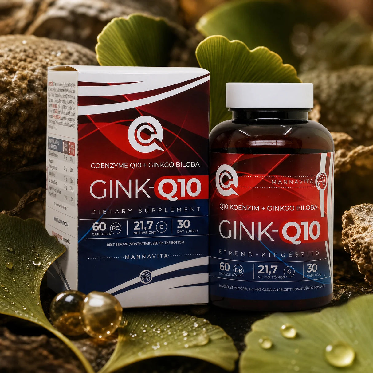GINK-Q10 • Kompleks Koenzymu Q10 + Ginkgo Biloba • 60 kapsułek