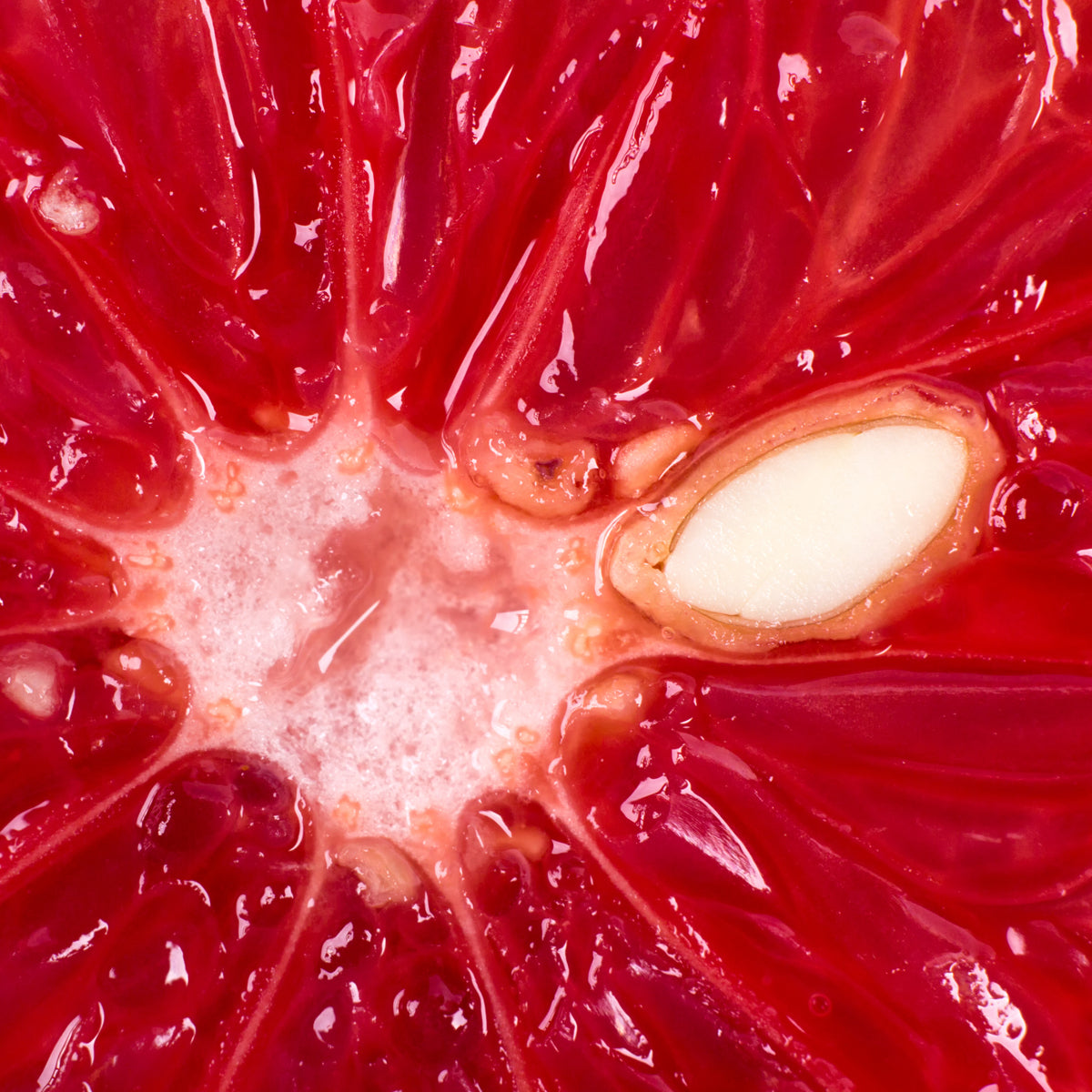 Mannavita Krople z ekstraktu z pestek grejpfruta • 100 ml