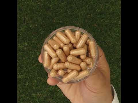 GINK-Q10 • Kompleks Koenzymu Q10 + Ginkgo Biloba • 60 kapsułek
