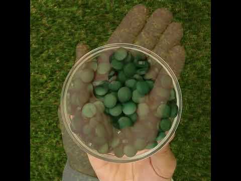 Mannavita Spirulina tabletki 500 mg • 180 szt.