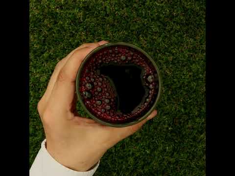 Mannavita sok z Borówki • 100% czysty sok tłoczony • 500 ml