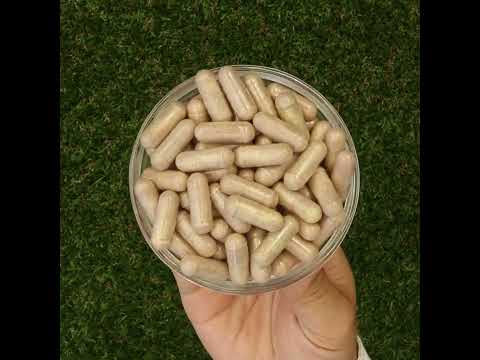 Mannavita Witamina C complex • 250 mg bioaktywna • 60 kapsułek