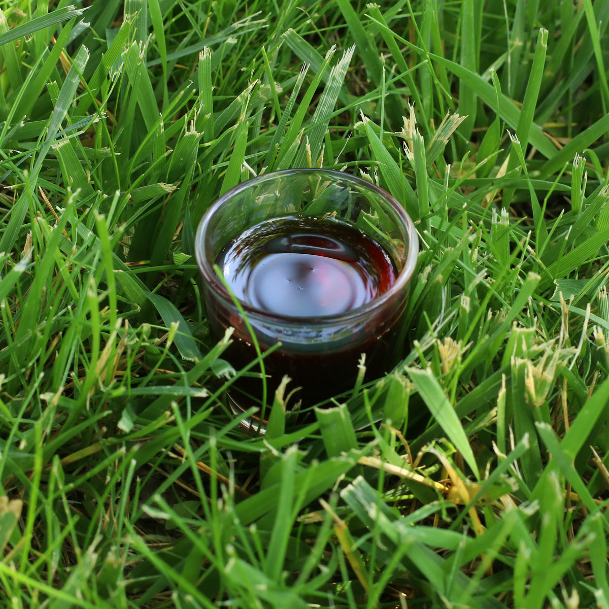 Mannavita węgierski olej z pestek dyni tłoczony na zimno • 250 ml